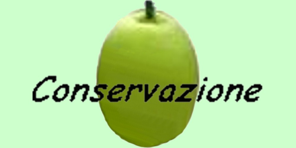 Come conservare olio